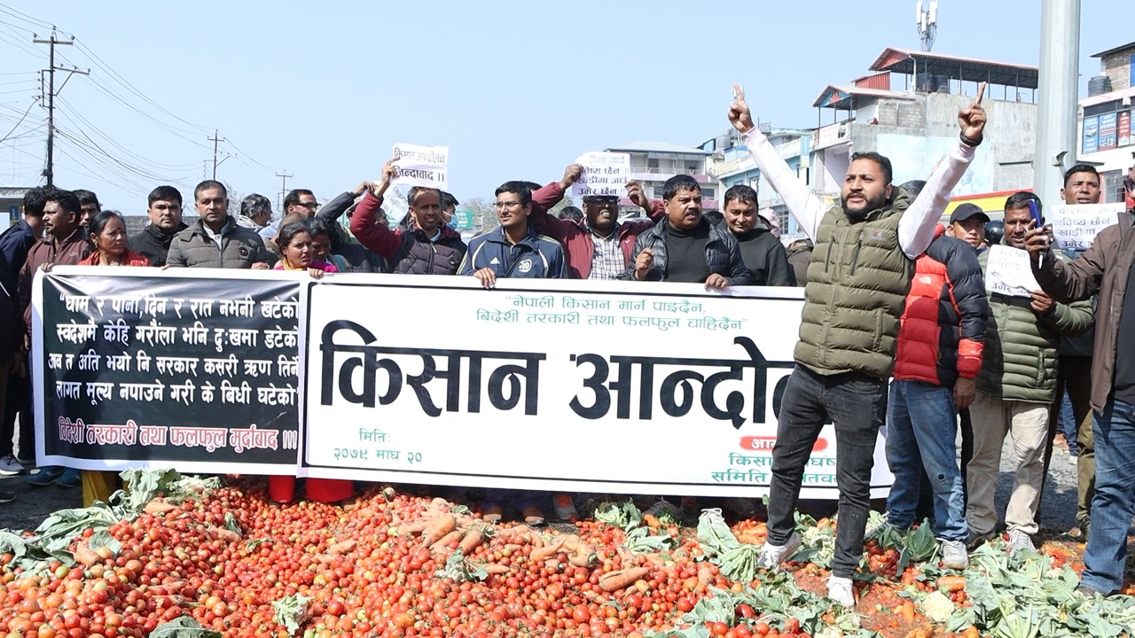 चितवनको तरकारीले बजार नपाएपछि किसानहरु आन्दोलित (फोटो फिचर)